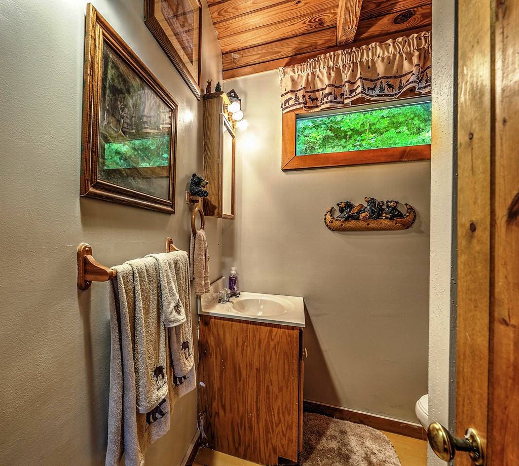 347 Ford Road Warne, NC 28909 - Photo 21 of 35 Gallery Image 21