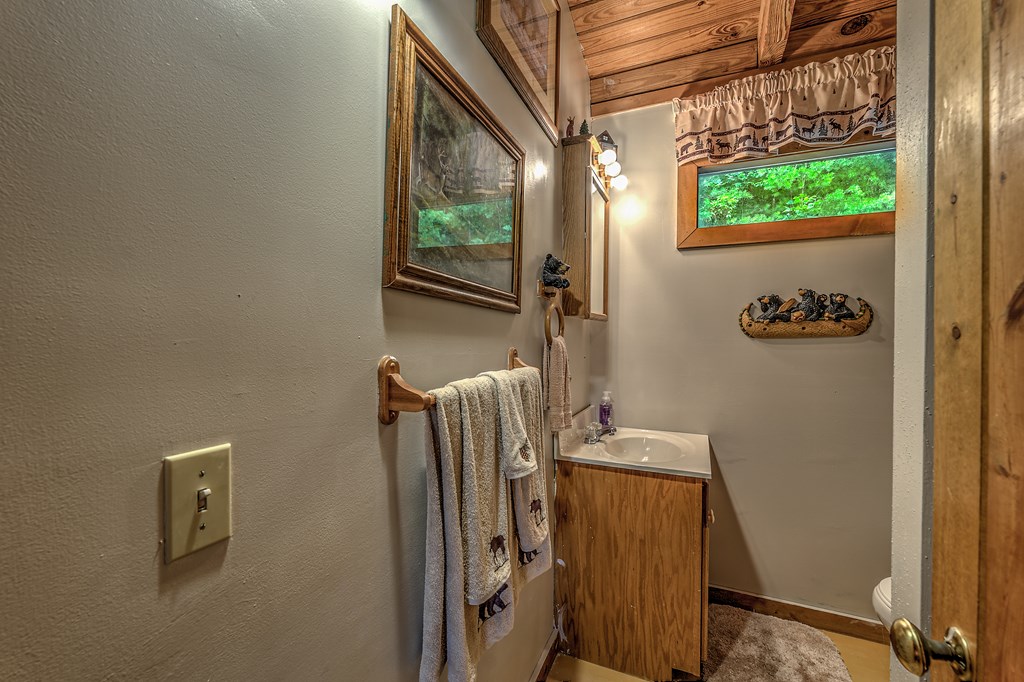 347 Ford Road Warne, NC 28909 - Photo 22 of 35 Gallery Image 22