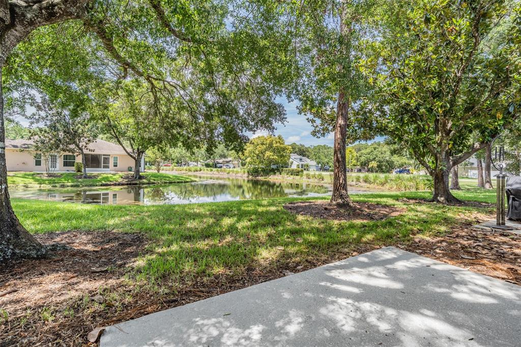 4504 Connery Court Palm Harbor, FL 34685 - Photo 23 of 33 a view of yard with tree and green space