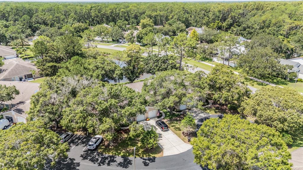 4504 Connery Court Palm Harbor, FL 34685 - Photo 29 of 33 an aerial view of residential house with outdoor space and trees all around