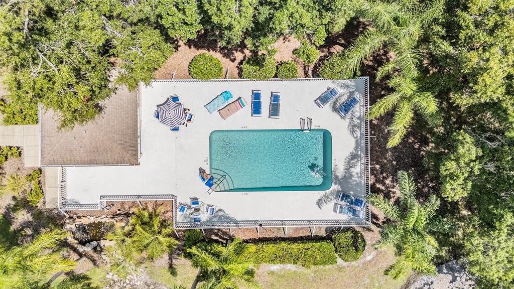 4504 Connery Court Palm Harbor, FL 34685 - Photo 33 of 33 an aerial view of a house