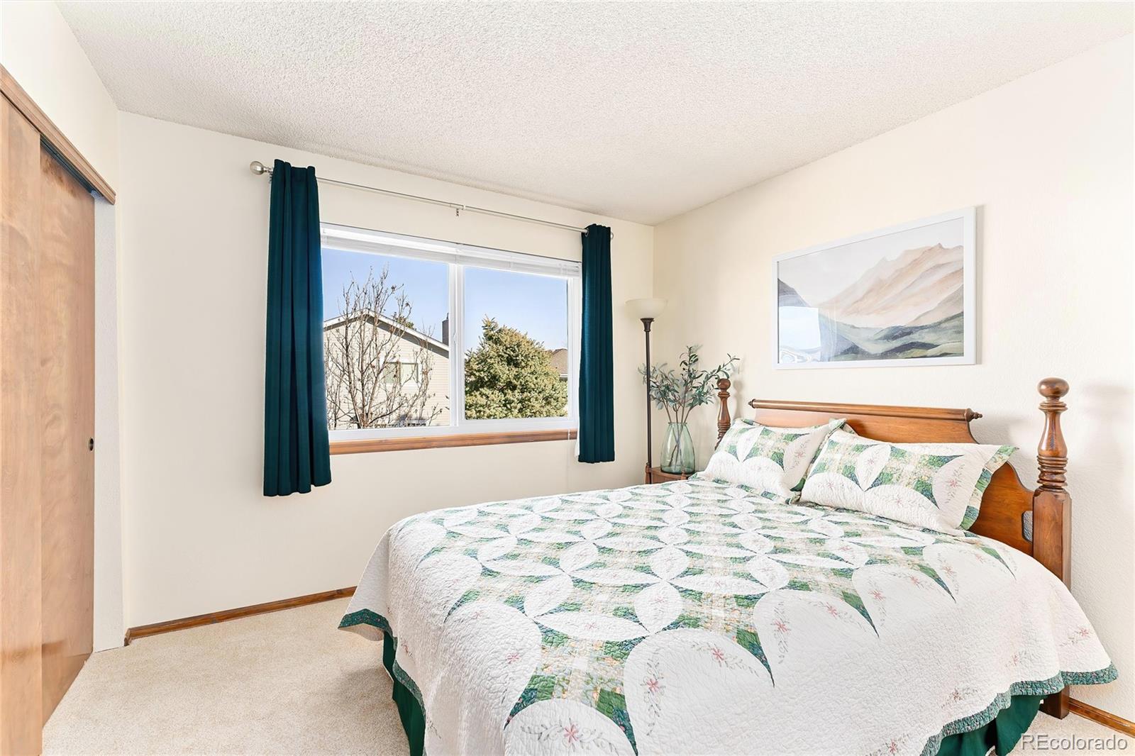 750 Old Stone Drive Highlands Ranch, CO 80126 - Photo 35 of 50