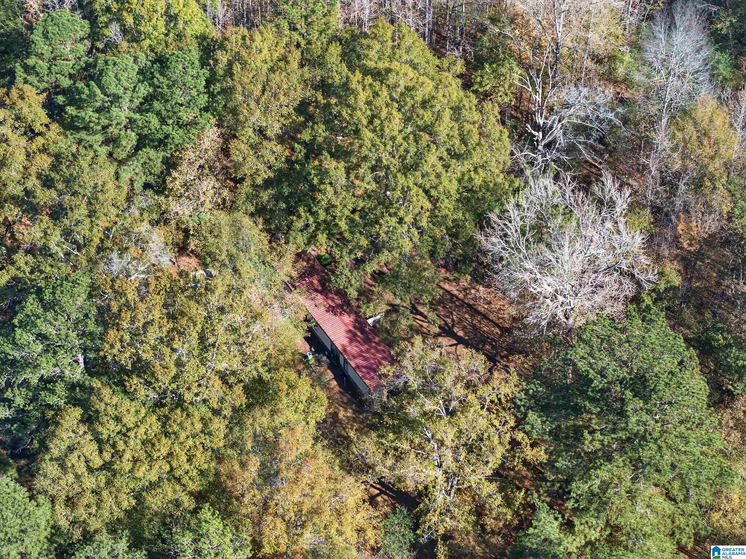 206 Pruitt Road Piedmont, AL 36272 - Photo 24 of 28
