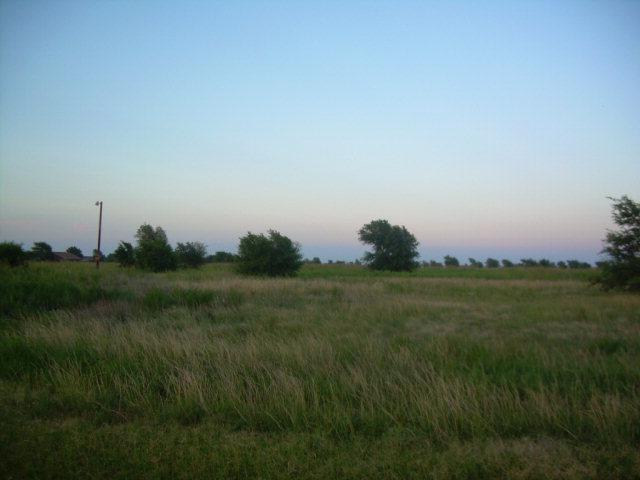 7213 West Farm Road Wolfforth, TX 79382 - Photo 1 of 1 a view of a grassy field