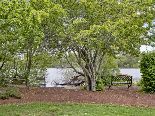 a view of a tree in front of a house