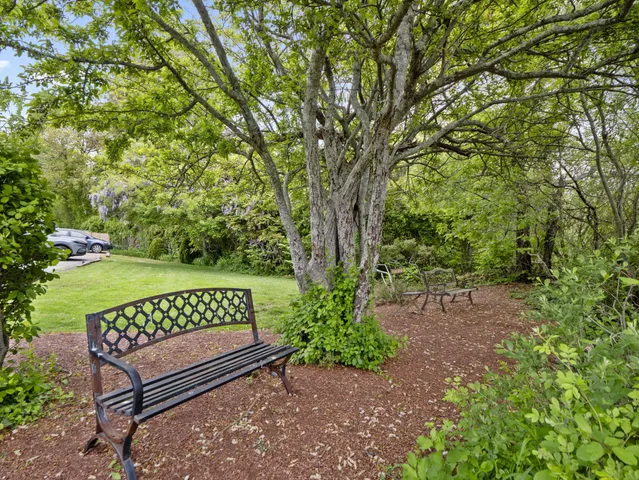 a view of a bench in a garden