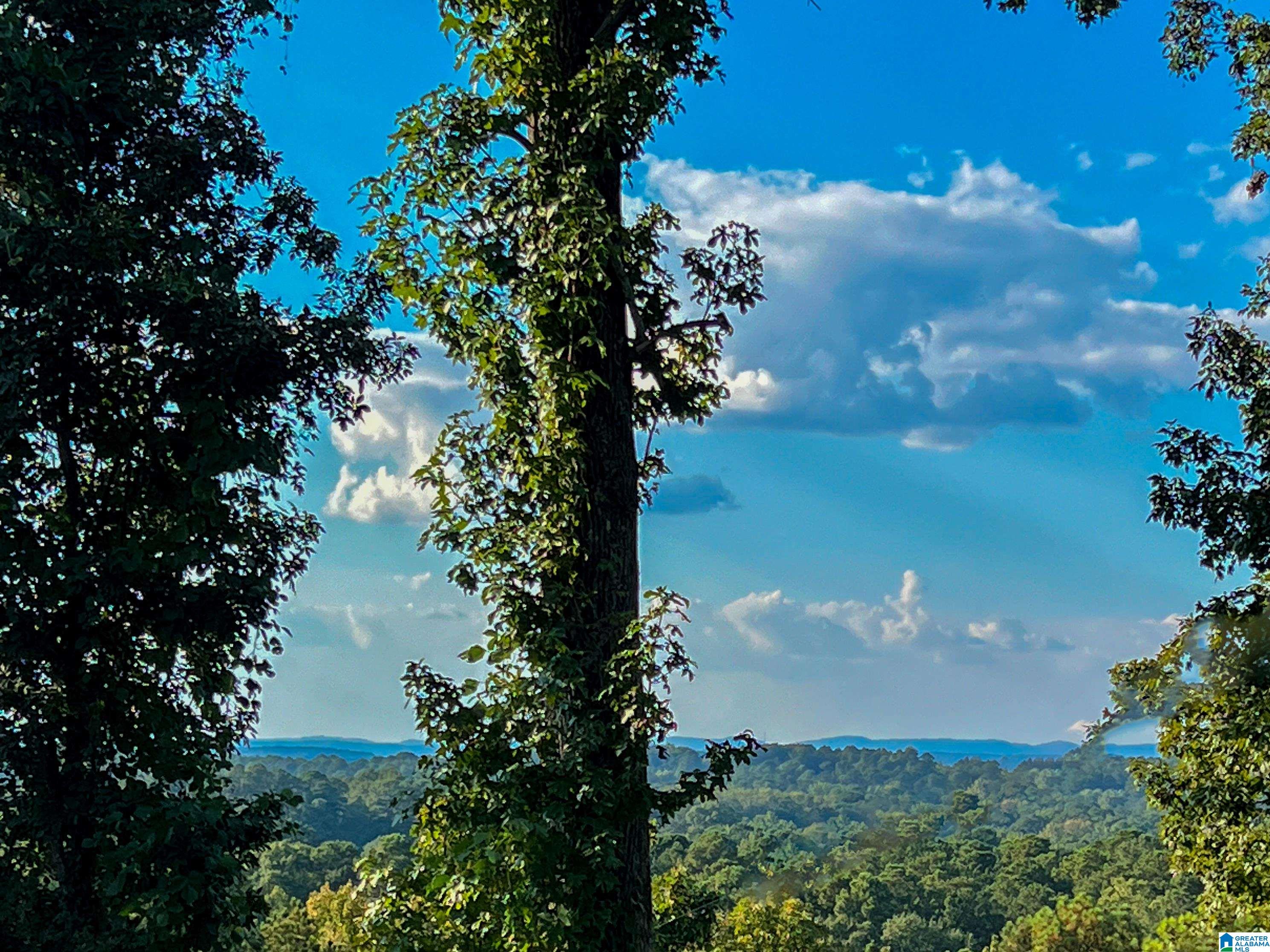 201 Cave Hill Road Weaver, AL 36277 - Photo 12 of 78