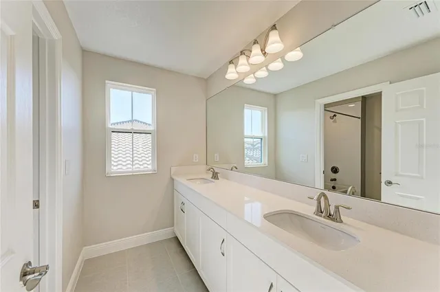 a bathroom with a sink vanity and a mirror