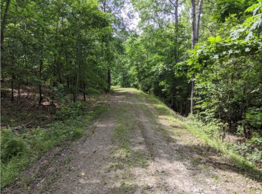 0 Pinoak Road Mayport, PA 16240 - Photo 2 of 2