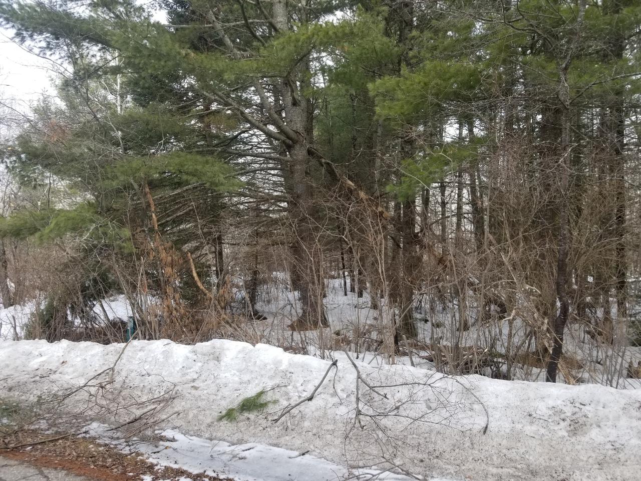 On Loon Lake Road, Unit LOT 2 Eagle River, WI 54521 - Photo 2 of 16 Gallery Image 2