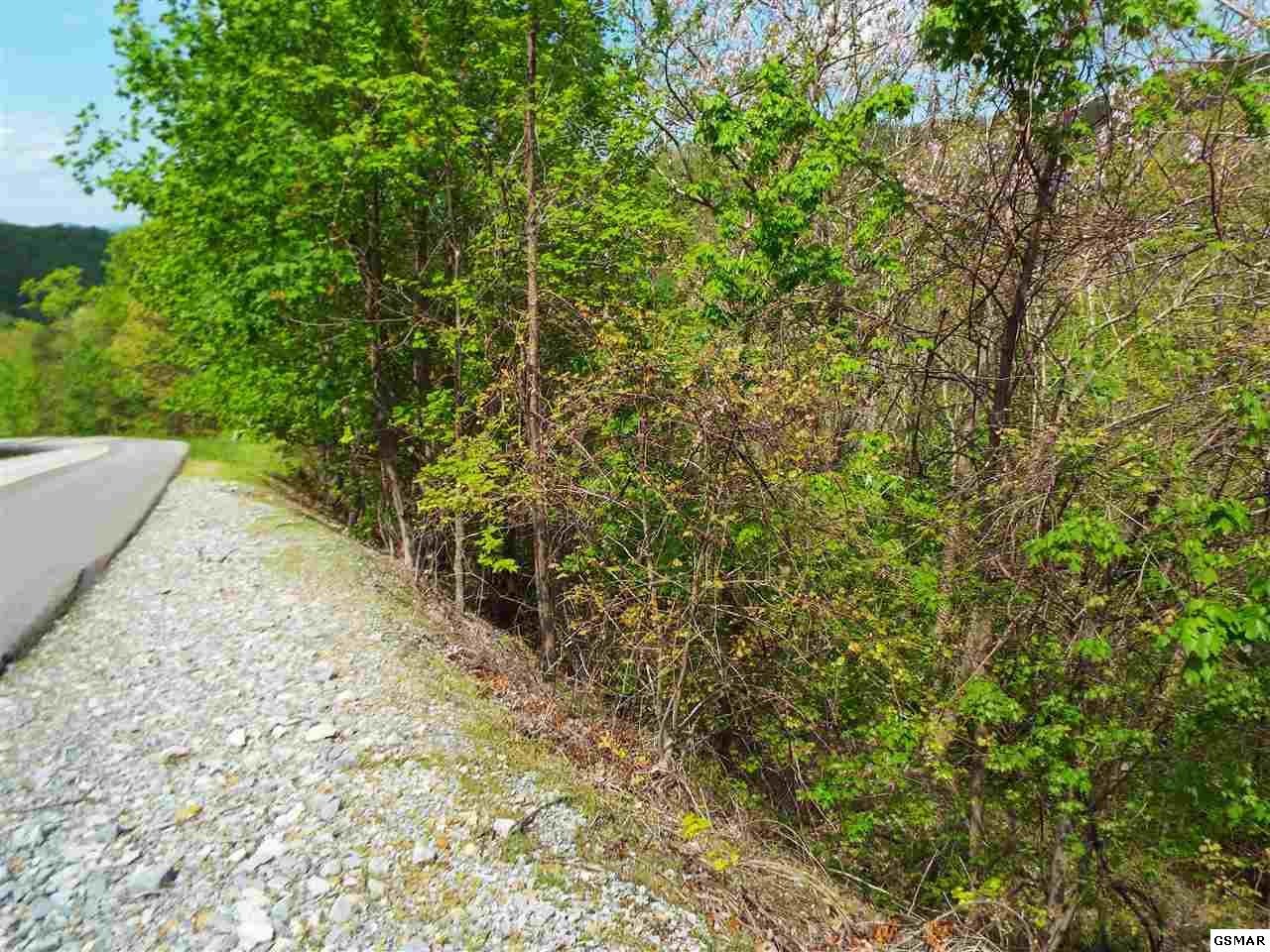63 Redtail Road Sevierville, TN 37862 - Photo 8 of 24 Gallery Image 8