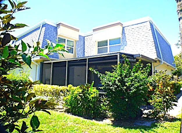 a plant that is in front of flowers