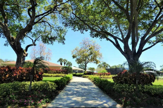a view of a garden with a tree