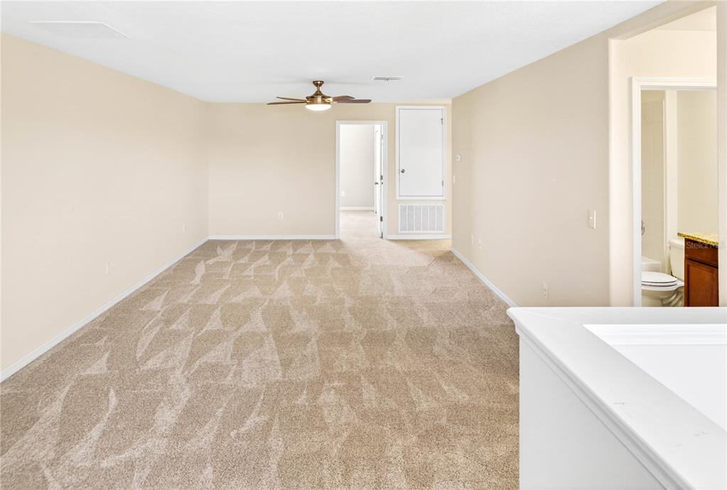 13415 White Sapphire Road Riverview, FL 33579 - Photo 38 of 96