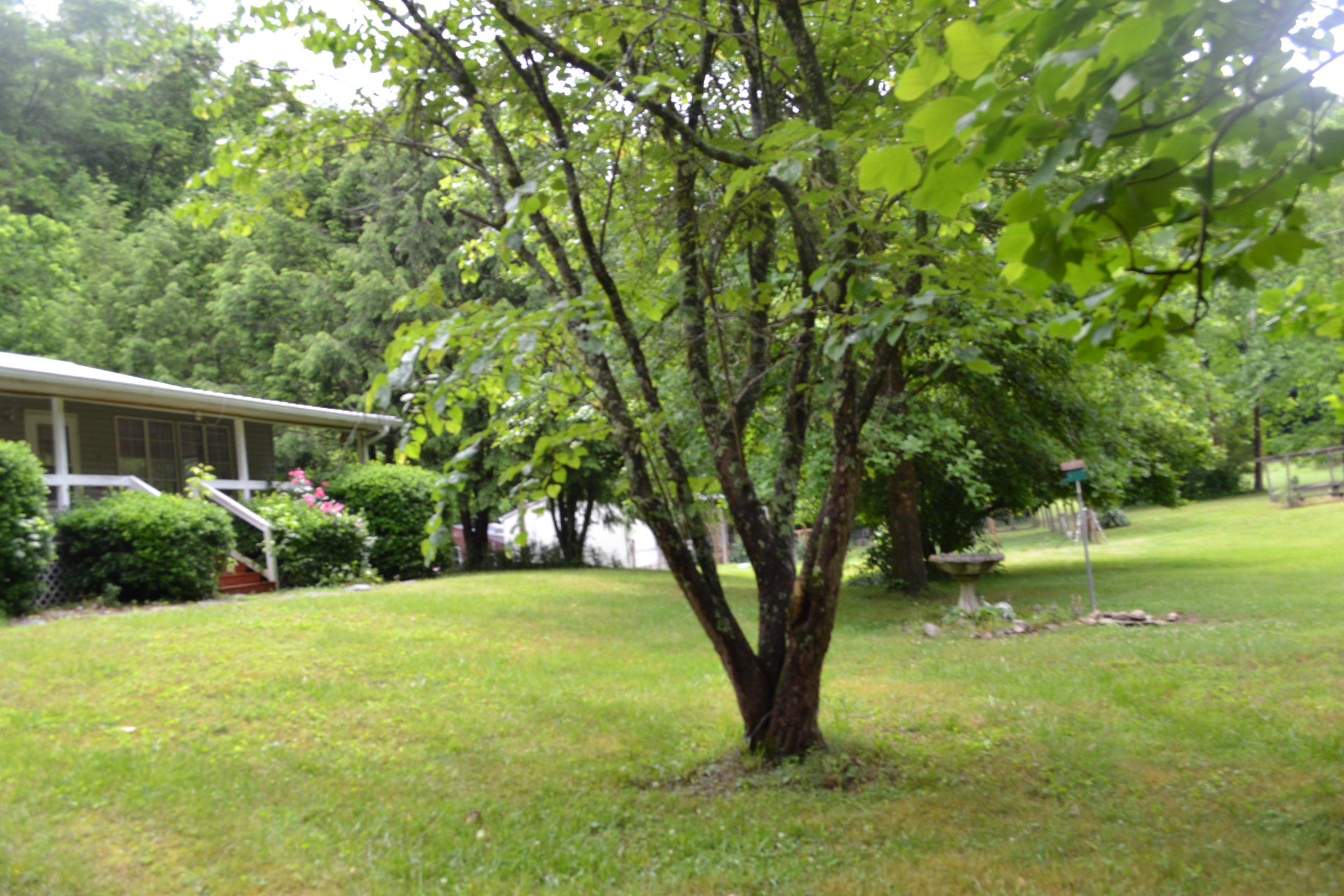 1505 Add Stafford Road Hilham, TN 38568 - Photo 42 of 65 a view of a house with a backyard