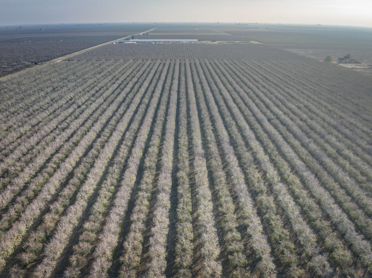 20880 Road 18 Chowchilla, CA 93610 - Photo 9 of 19 a view of wooden floor