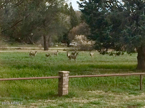 4255 East Beaver Vista Road Rimrock, AZ 86335 - Photo 26 of 31 Deer