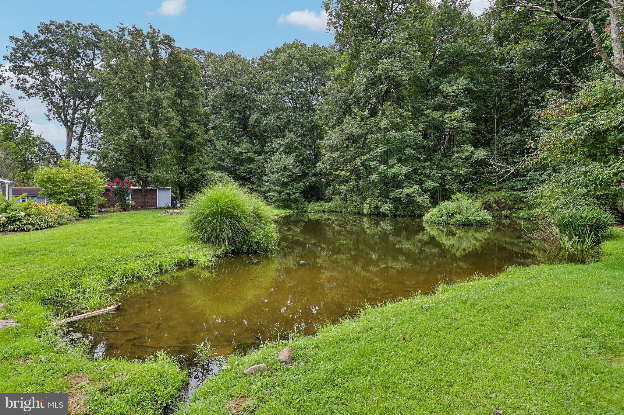 117 East Conestoga Road Elverson, PA 19520 - Photo 47 of 61 Rear pond