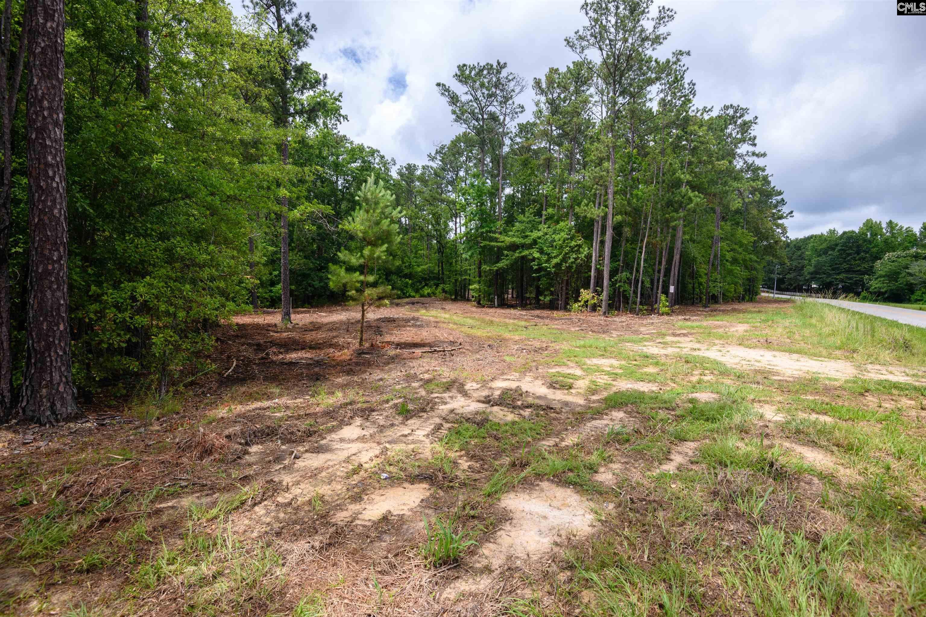 227 State Rd S-32-145, Unit LOT 1 Lexington, SC 29072 - Photo 5 of 23