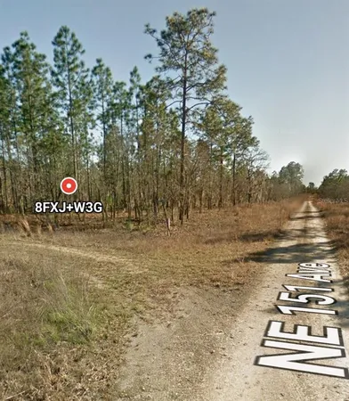 $15,000 | 12 Street Williston, Williston, FL 32696