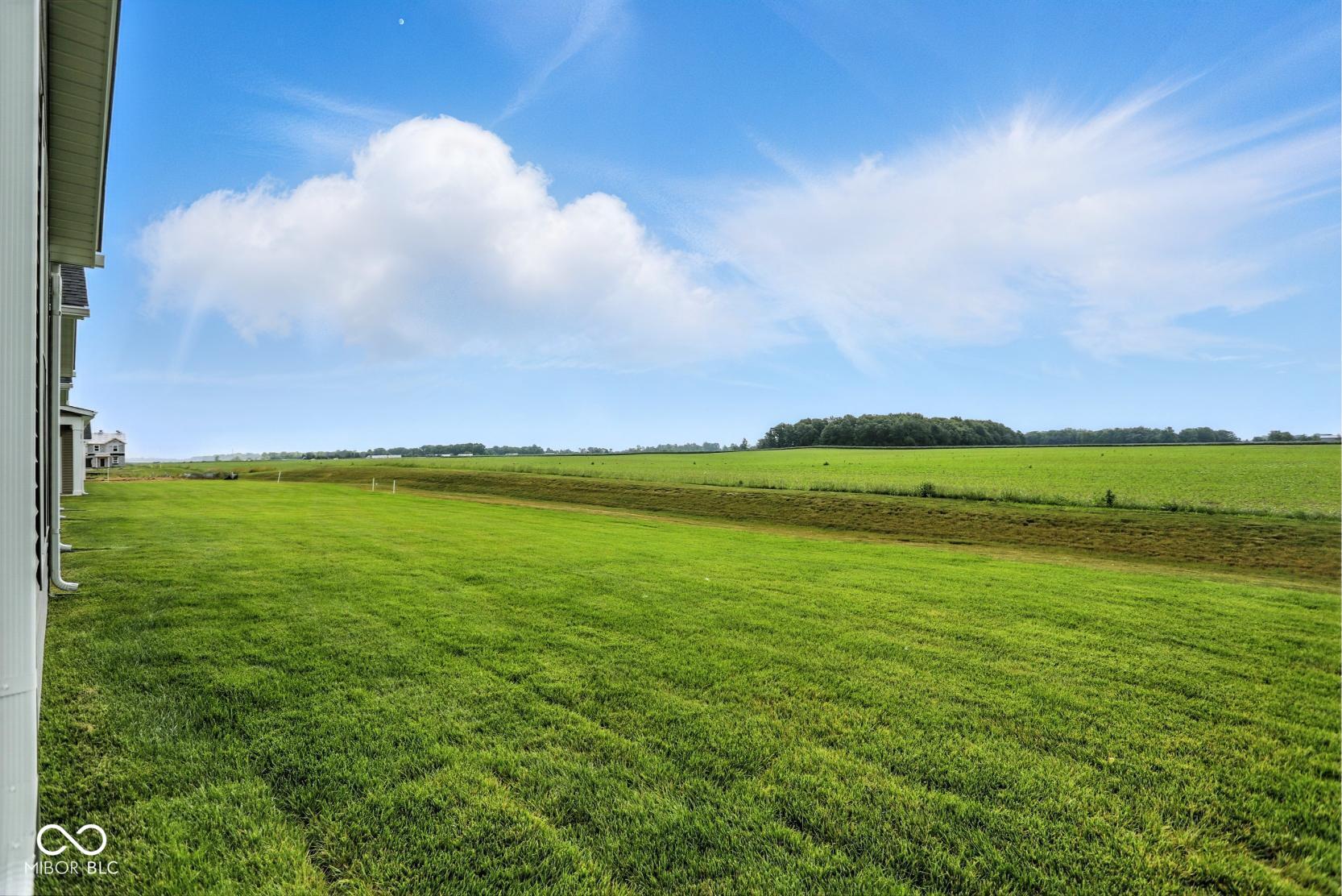2017 Frost Line Lane Greenfield, IN 46140 - Photo 31 of 34