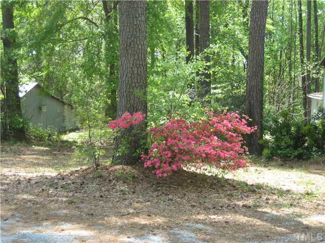 7500 Rock Service Station Road Raleigh, NC 27603 - Photo 20 of 21 a view of a backyard with plants and large trees