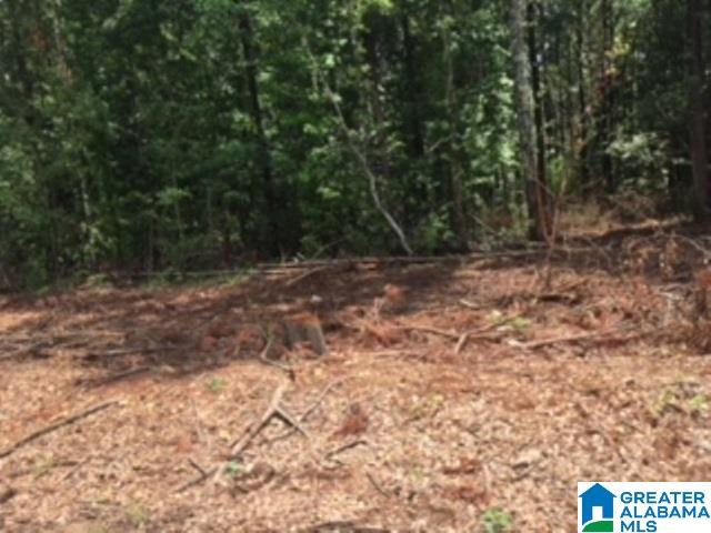 325 Springhill Road, Unit 1 Talladega, AL 35160 - Photo 27 of 31