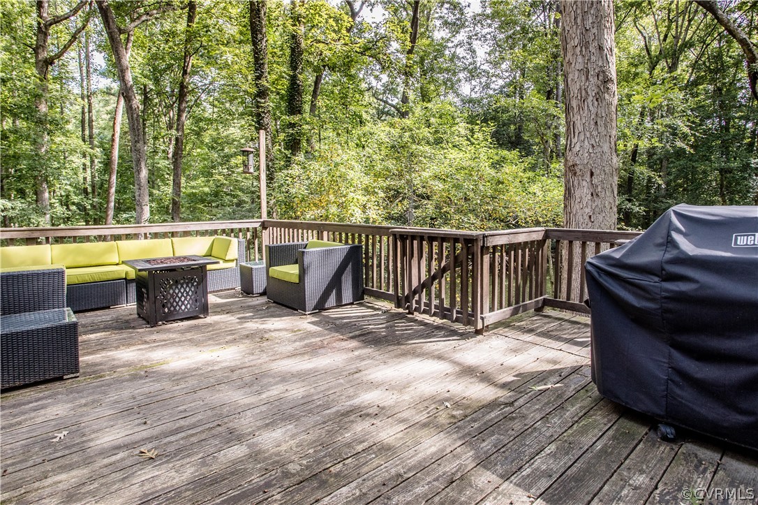 201 County Line Road Midlothian, VA 23112 - Photo 30 of 43 Gallery Image 30