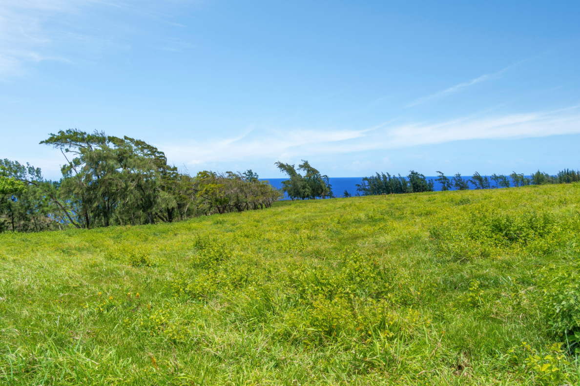 1 Uli Road Kapaau, HI 96755 - Photo 10 of 14