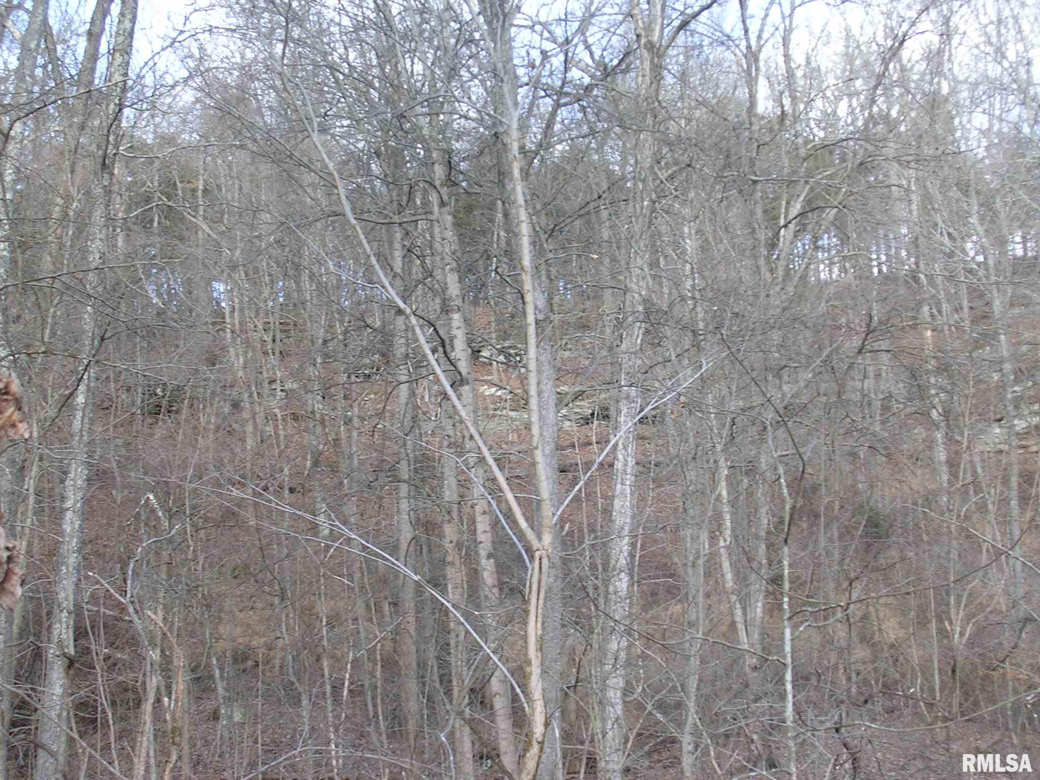 Pleasant Ridge Road Vienna, IL 62995 - Photo 10 of 27