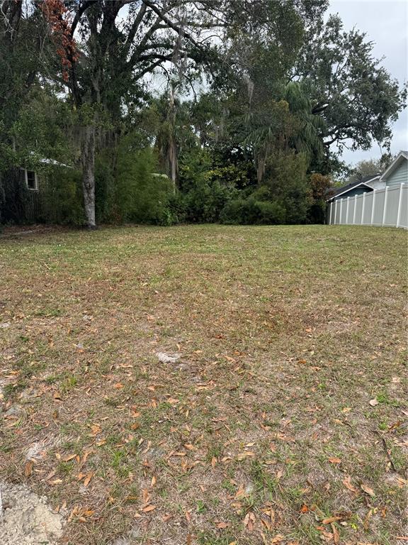 Crenshaw Street Tampa, FL 33604 - Photo 2 of 2 a view of outdoor space and yard