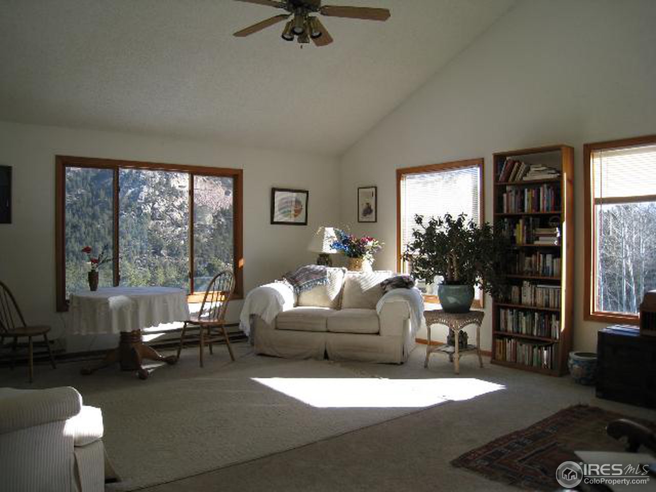 31 Elk Road Lyons, CO 80540 - Photo 8 of 11 Gallery Image 8