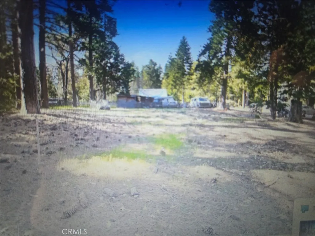0 Pine Ridge Pine Cove Homeland, CA 92548 - Photo 3 of 5 a view of a yard with a tree