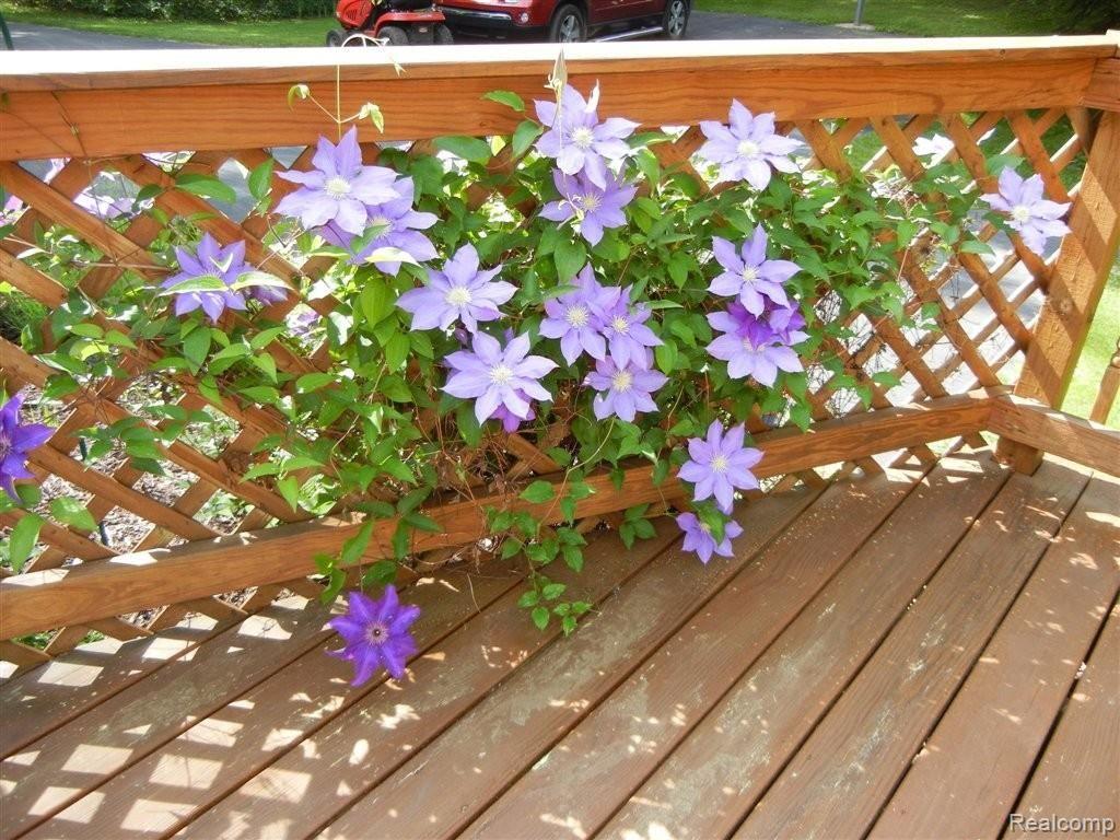 8740 Clement Road Clarkston, MI 48346 - Photo 22 of 27 On spacious deck