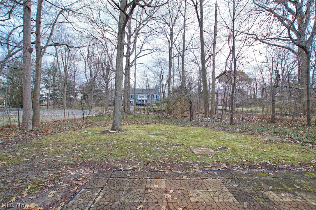 1675 Wood Road Cleveland Heights, OH 44121 - Photo 3 of 32