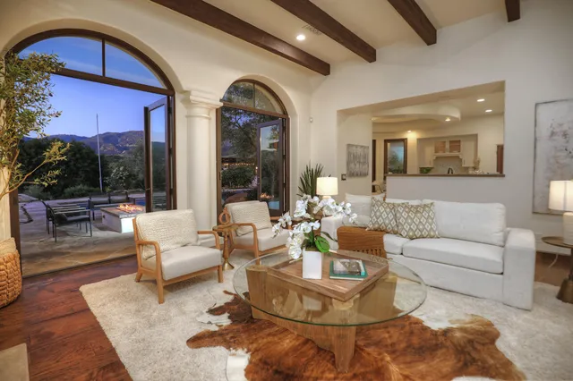 a living room with fireplace furniture and a potted plant