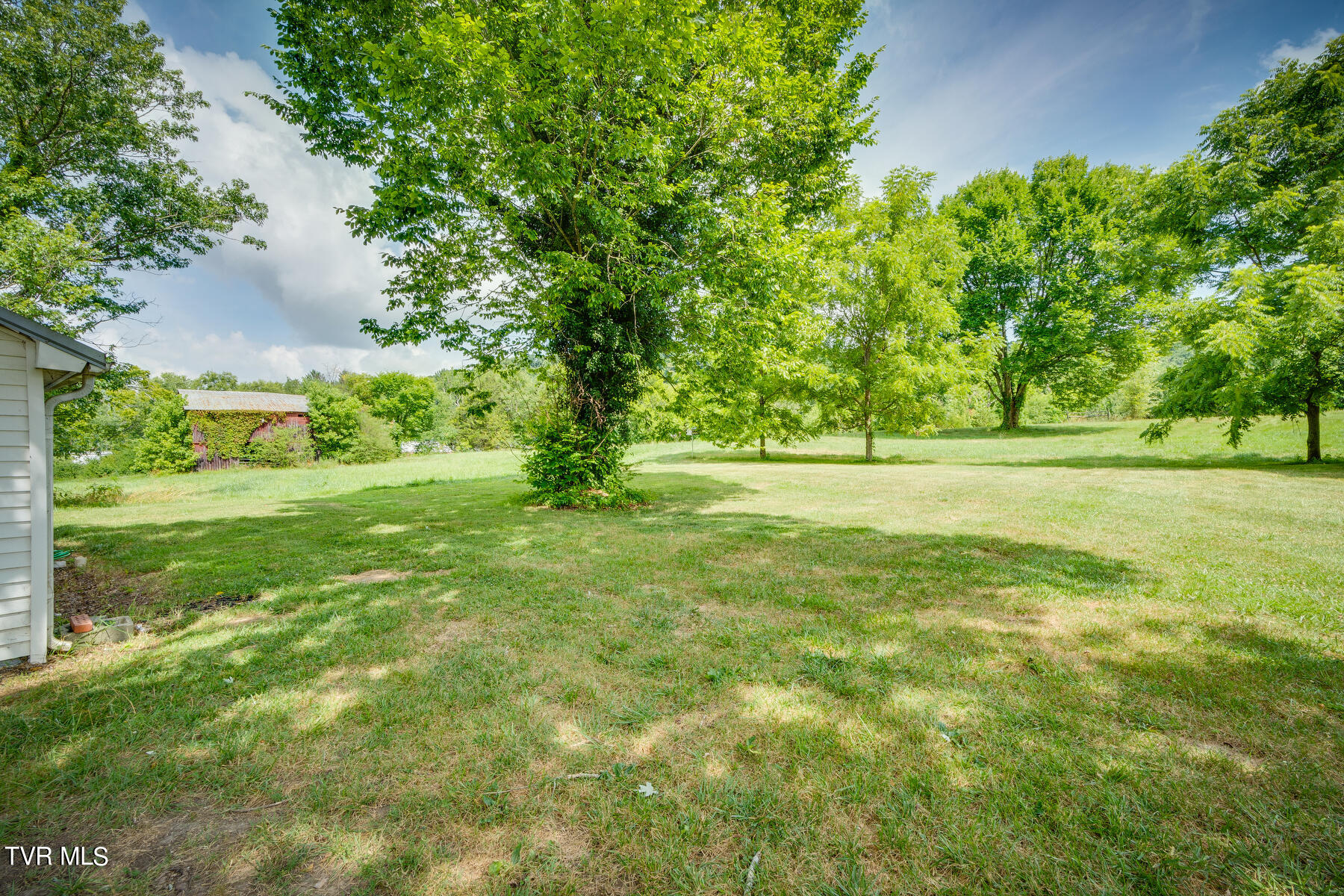 1350 Walkertown Road Afton, TN 37616 - Photo 21 of 32 021
