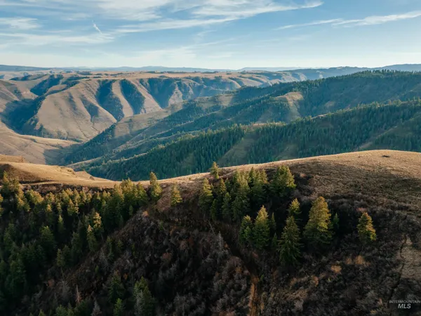 $1,500,000 | Tbd Boles Road, Cottonwood, ID 83522