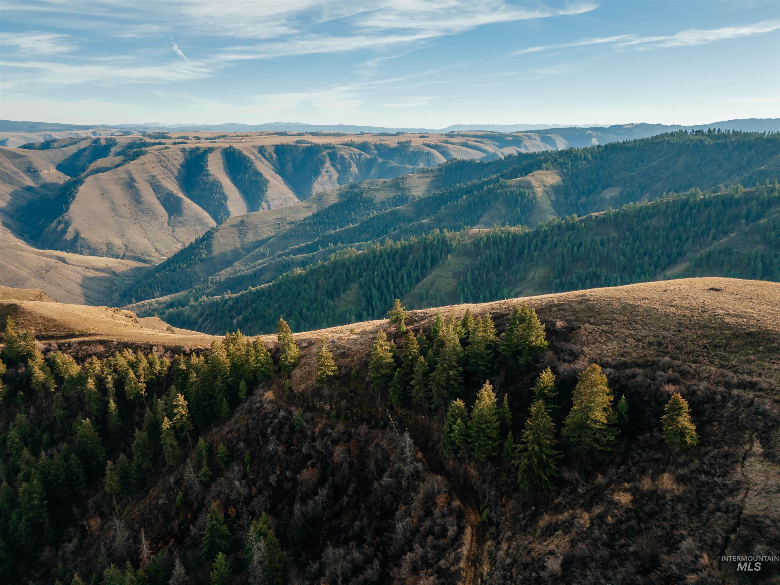 View of mountain background