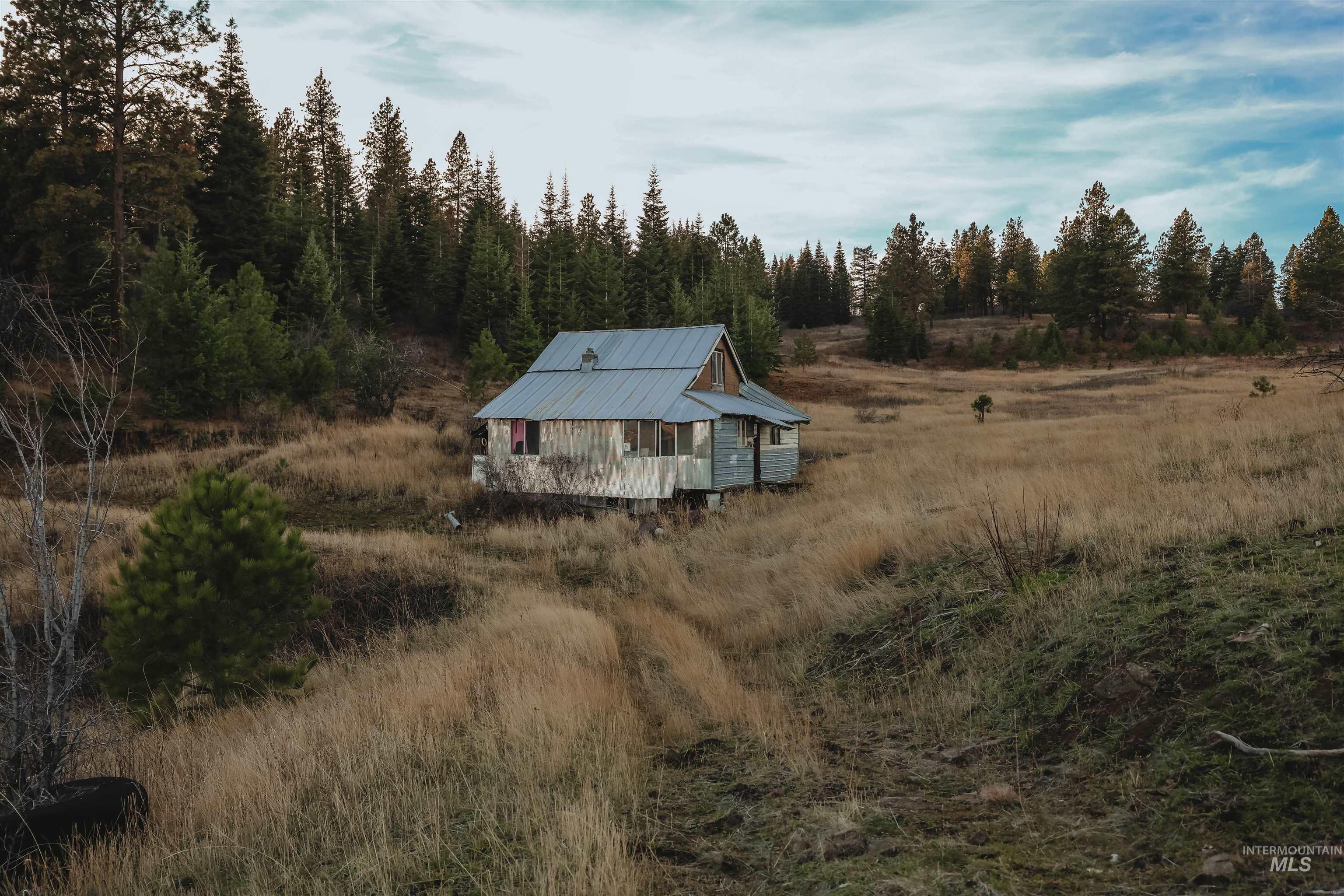 Tbd Boles Road Cottonwood, ID 83522 - Photo 12 of 49 View of subject property