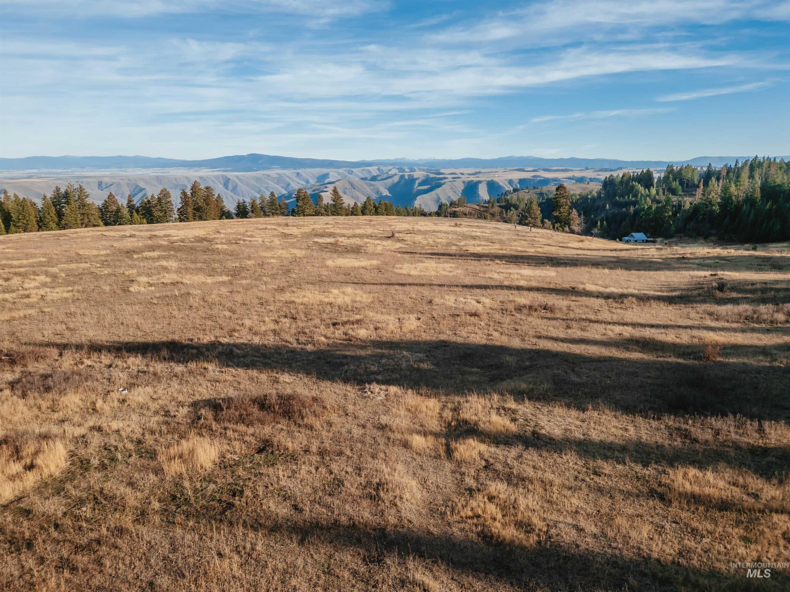 Tbd Boles Road Cottonwood, ID 83522 - Photo 13 of 49 Mountain view featuring rural landscape