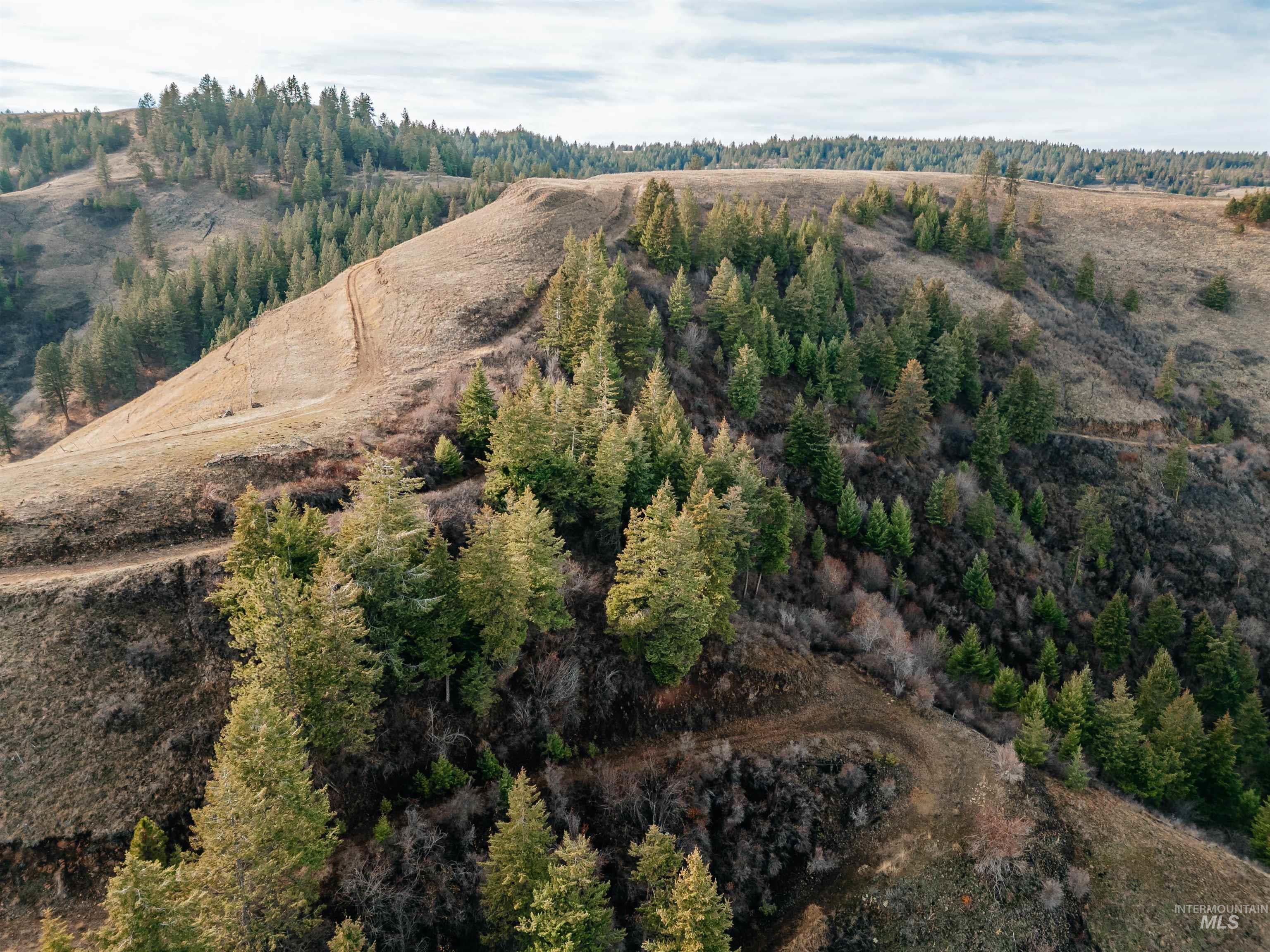 Tbd Boles Road Cottonwood, ID 83522 - Photo 14 of 49 Aerial view of property and surrounding area with a forest
