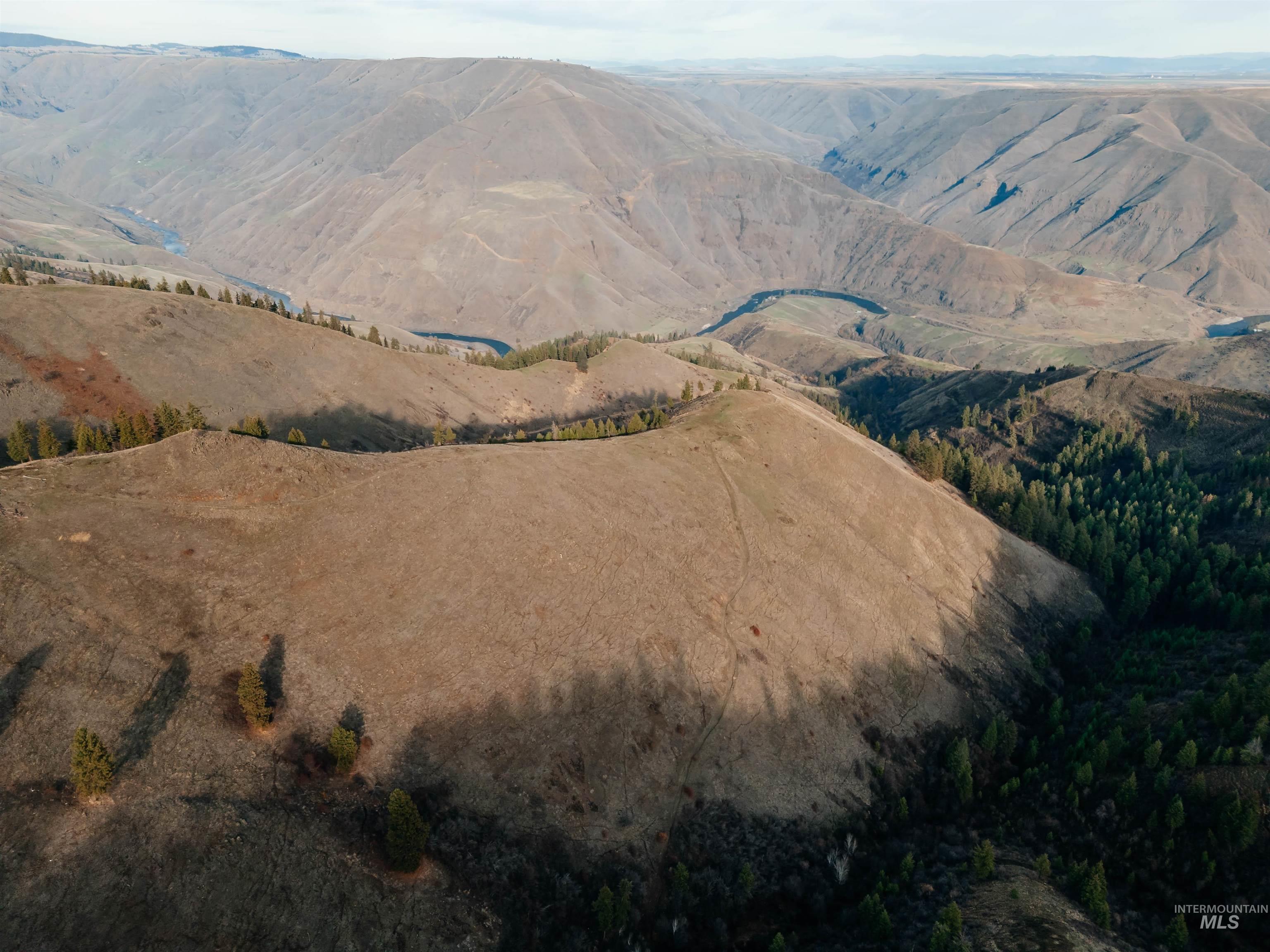Tbd Boles Road Cottonwood, ID 83522 - Photo 15 of 49 View of mountain background