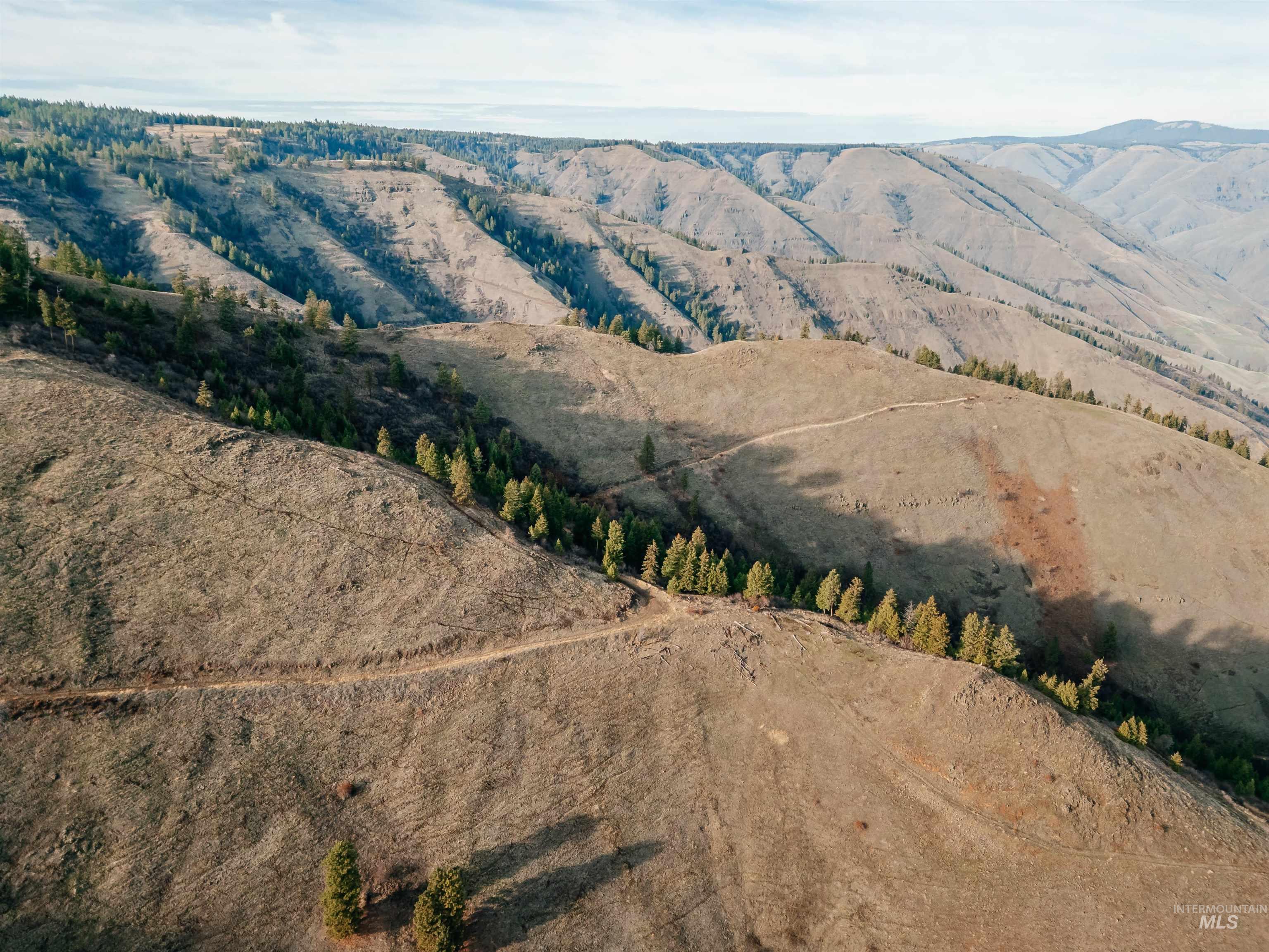 Tbd Boles Road Cottonwood, ID 83522 - Photo 17 of 49 Aerial view of property and surrounding area featuring a mountain backdrop