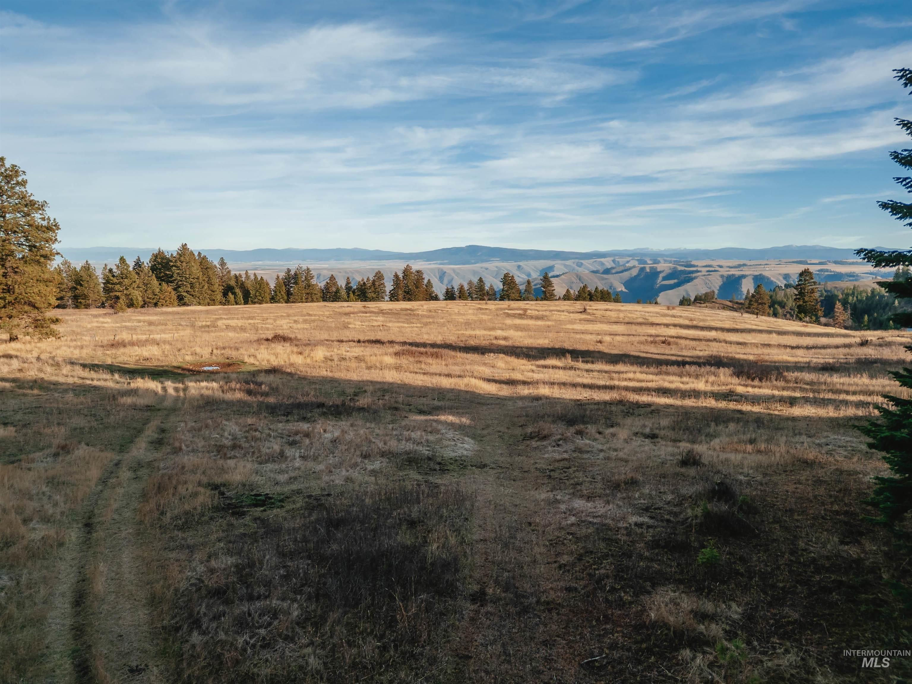 Tbd Boles Road Cottonwood, ID 83522 - Photo 20 of 49 View of mountain backdrop featuring rural landscape