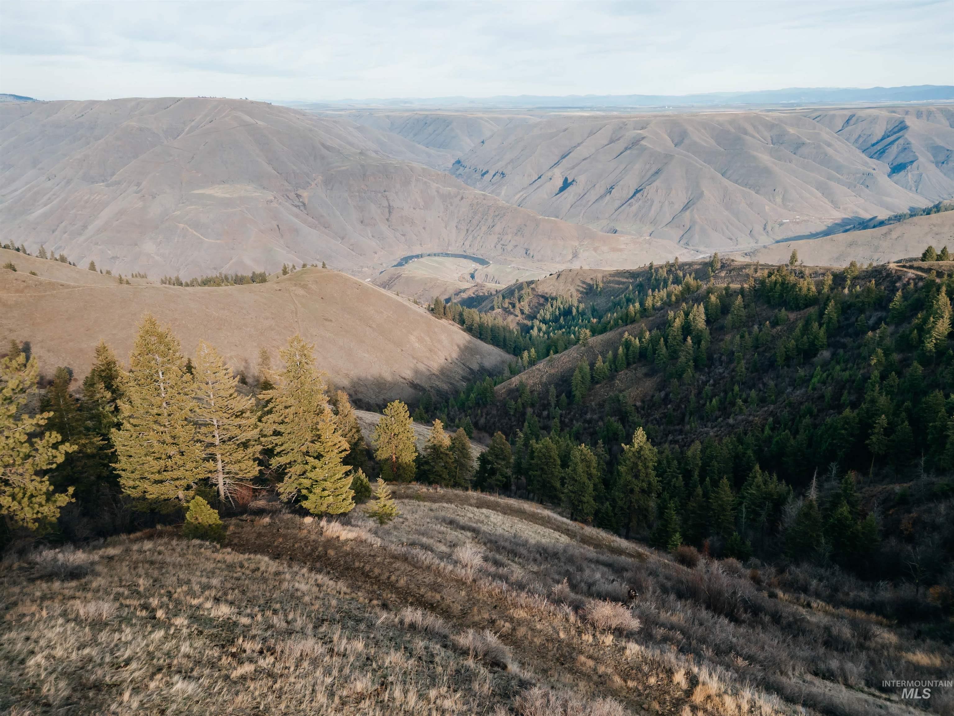Tbd Boles Road Cottonwood, ID 83522 - Photo 2 of 49 View of mountain background