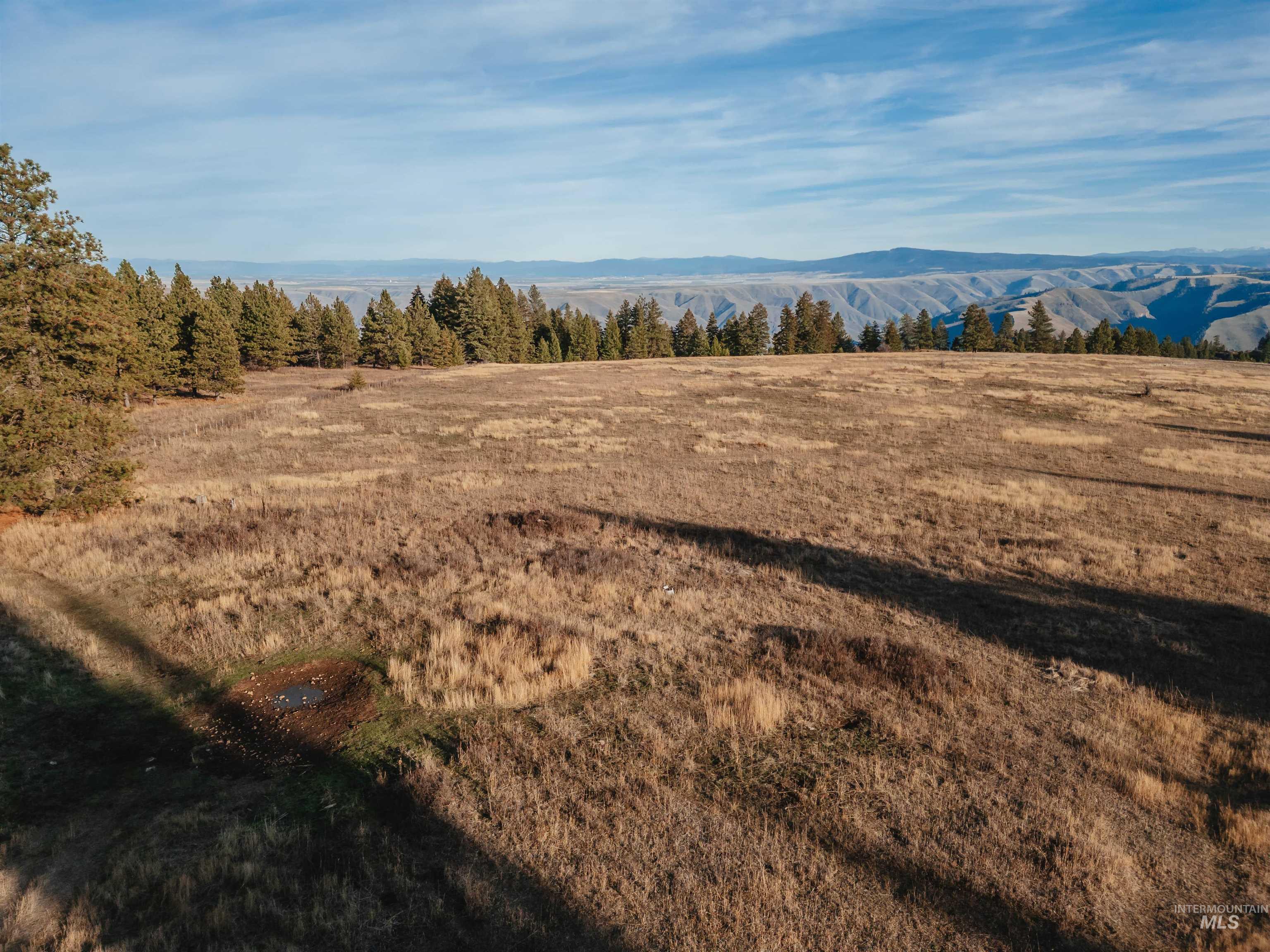Tbd Boles Road Cottonwood, ID 83522 - Photo 21 of 49 Mountain view with rural landscape
