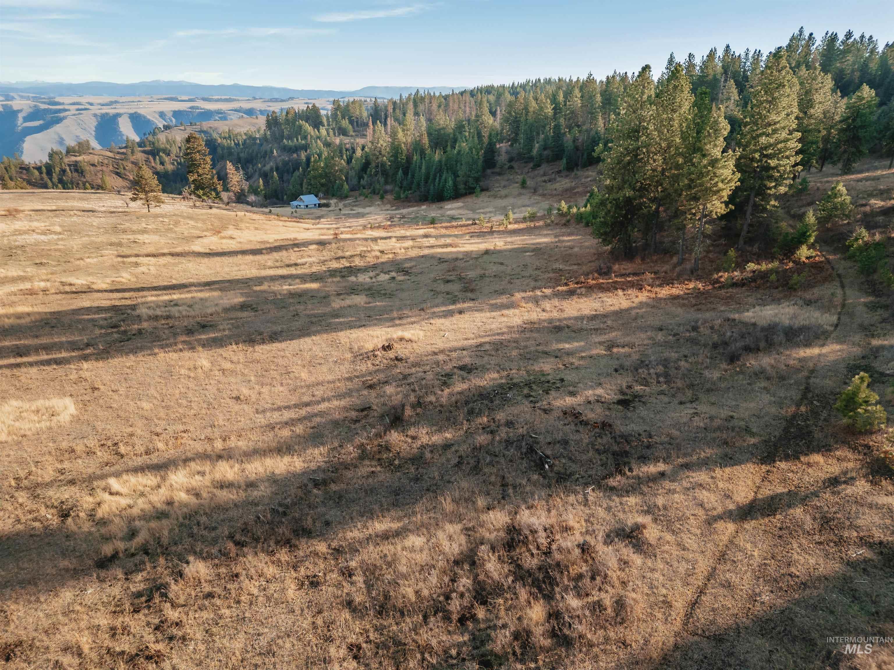 Tbd Boles Road Cottonwood, ID 83522 - Photo 22 of 49 Mountain view with rural landscape