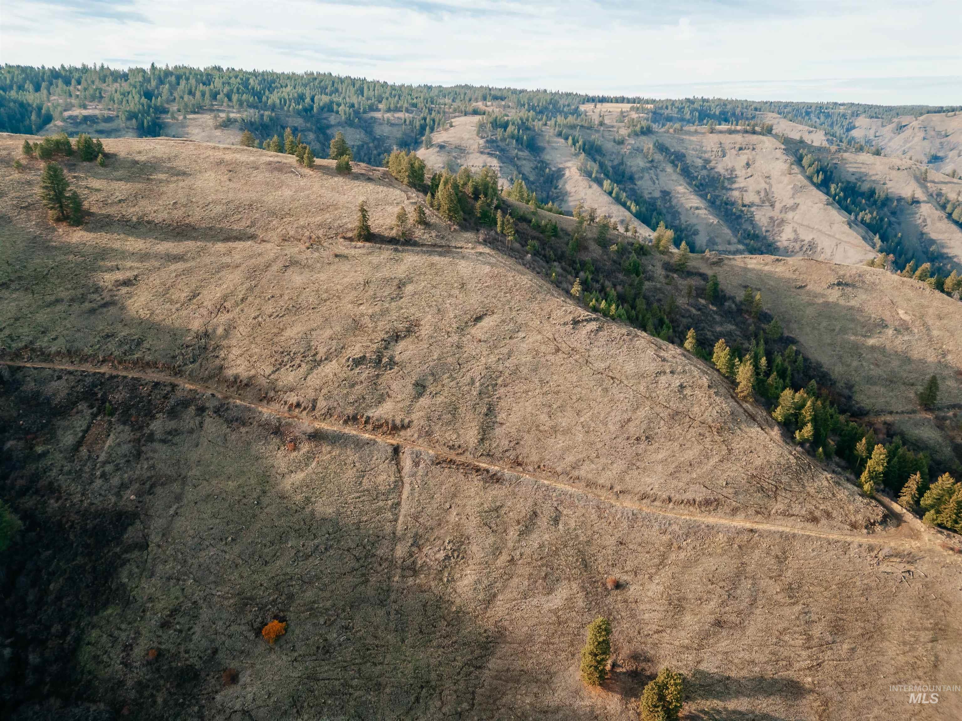 Tbd Boles Road Cottonwood, ID 83522 - Photo 23 of 49 View of property location with rural landscape