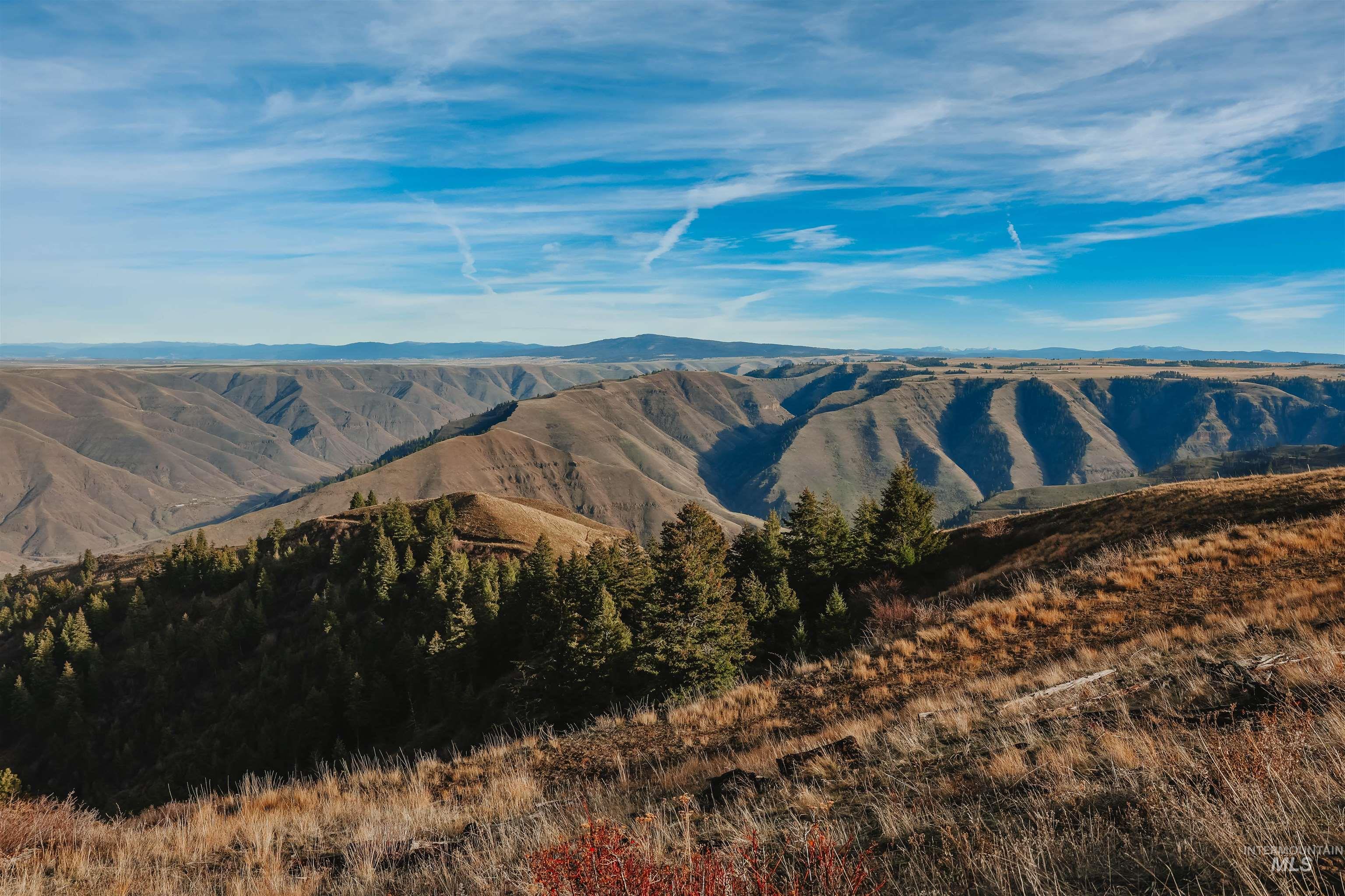 Tbd Boles Road Cottonwood, ID 83522 - Photo 25 of 49 Mountain view